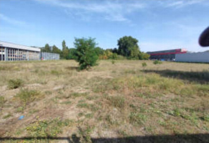 Unbebautes Grundstück mit trockenem Gras, Büschen und Bäumen, umgeben von Industriegebäuden in Berlin, 12489 Otto-Franke-Str