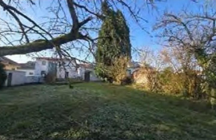 Grüner Gartenbereich mit Bäumen und Sträuchern, im Hintergrund ein Gebäude, Wiesbaden, Guldenweg 14