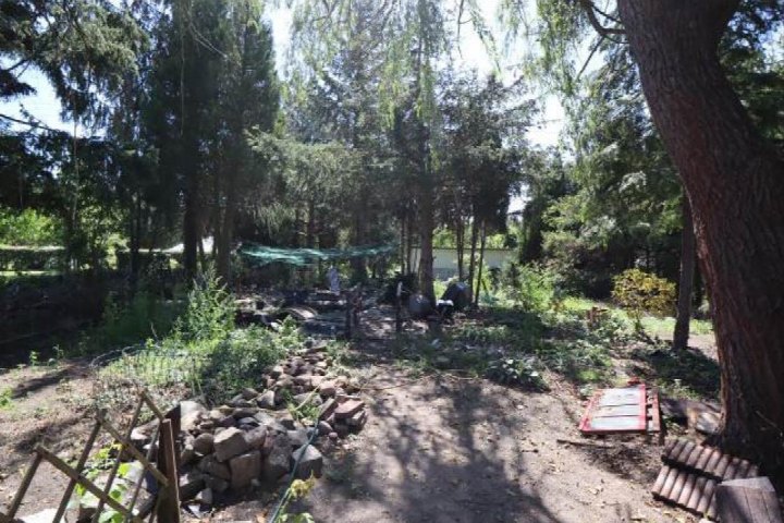 Gartenbereich mit Bäumen, Pflanzen, Steinen und einem Weg, Teil eines Einfamilienhauses in Lauta