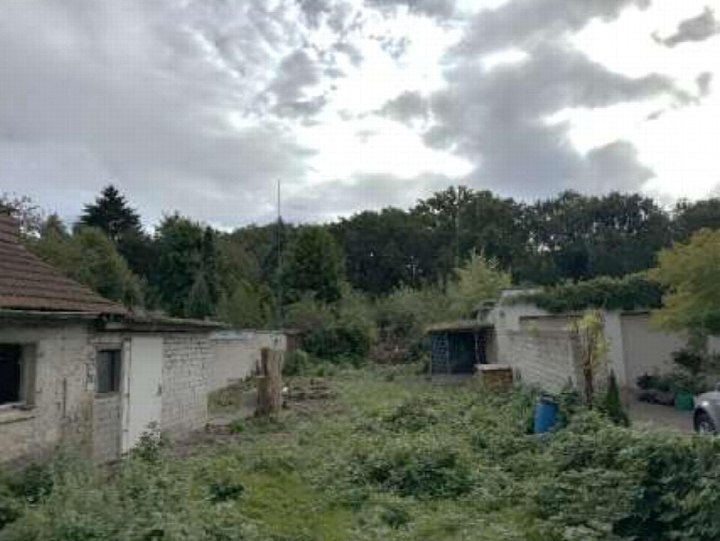 Überwuchertes Grundstück mit Steinmauern, Bäumen und einem Teil eines Gebäudes im Hintergrund