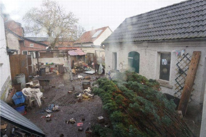 Hinterhof mit Kiesboden, Hühnern, Abfall und einem Haufen Tannenzweige; Gebäude mit Ziegeldach und Fenstern im Hintergrund