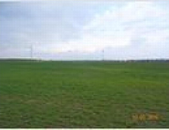 Weites grünes Feld unter bewölktem Himmel, Grundstück in Benndorf