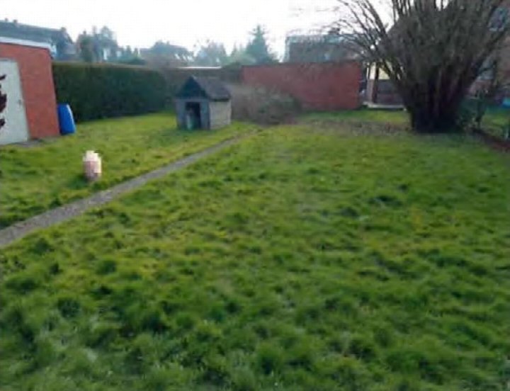 Grüner Garten mit Kiesweg, kleinem Holzschuppen, Baum und Hecken im Hintergrund
