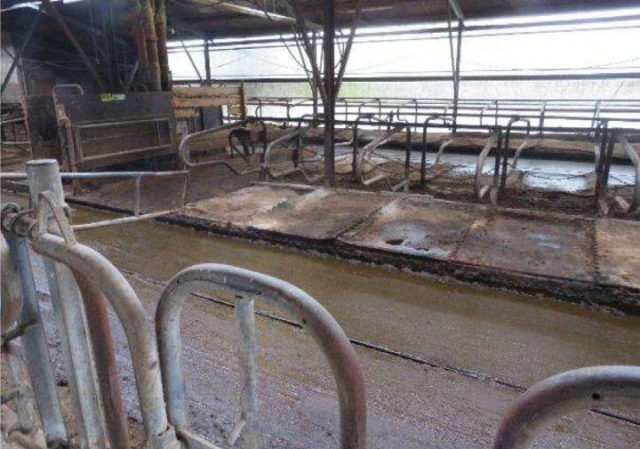Innenansicht einer landwirtschaftlichen Stallanlage mit Metallzäunen und Betonboden, Störnhof 5, Wiesenttal
