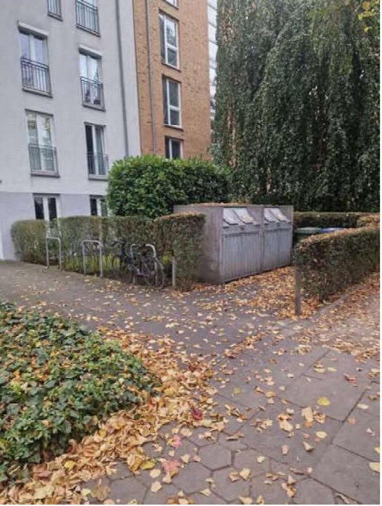 Gartenbereich mit Laub, Hecken, Fahrradständern und Müllcontainern vor einem Mehrfamilienhaus in Hamburg
