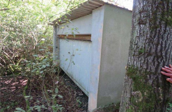 Kleine Betonkonstruktion mit Wellblechtür in einem bewaldeten Gebiet, vermutlich Garage oder Schuppen