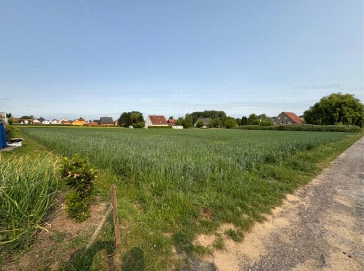Grünes Ackerland mit Getreideanbau, umgeben von einem Kiesweg und kleinen Gartenbeeten, im Hintergrund Wohnhäuser in Enger
