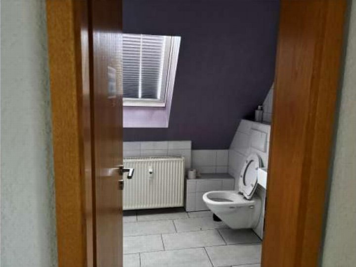 Badezimmer mit WC, Fliesenwand, Heizkörper und Dachfenster, gesehen durch offene Holztür
