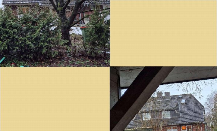 Gartenbereich mit Nadelbäumen, Laubbäumen und einem grünen Müllcontainer vor einem Backsteinhaus