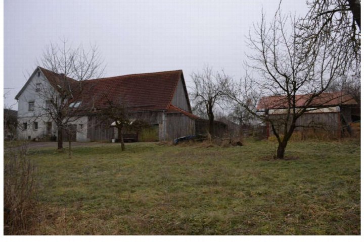 Grasbewachsener Gartenbereich mit kahlen Bäumen und landwirtschaftlichen Gebäuden im Hintergrund in Selgenstadt