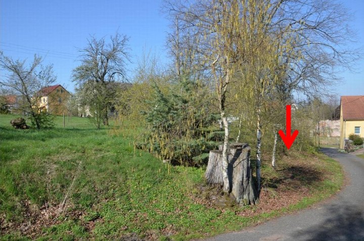 Gartenbereich mit Gras, Bäumen und Baumstümpfen am Rand eines Weges in Klipphausen, Am Klostergut