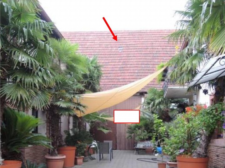 Gartenbereich mit Palmen in Töpfen, gelbem Sonnensegel und rotem Ziegeldach im Hintergrund
