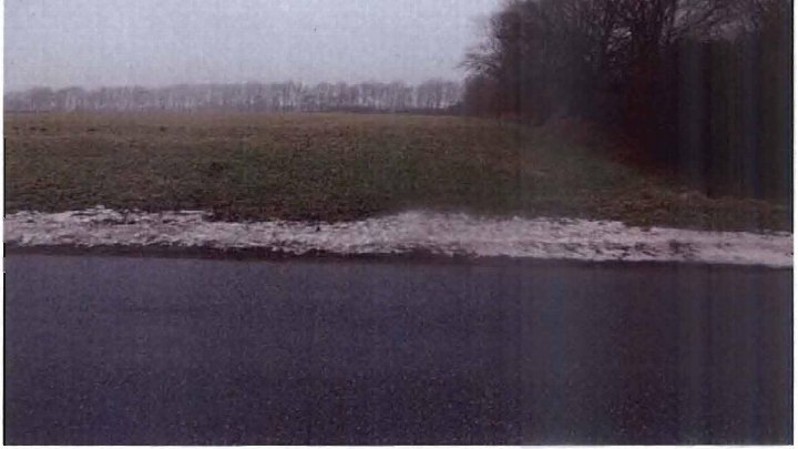 Grüne Wiese mit Bäumen im Hintergrund und einem unbefestigten Weg, Teil eines landwirtschaftlich genutzten Grundstücks in Rantrum