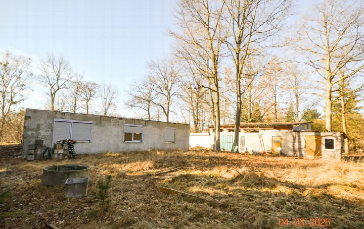 Unbebautes Grundstück mit zwei verfallenen Gebäuden, trockenem Gras und kahlen Bäumen im Gartenbereich eines Einfamilienhauses in Lindow