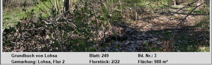 Waldstück mit Sträuchern und Laub, Grundbuch Lohsa, Flur 2, Flurstück 2/22, Fläche 988 m²
