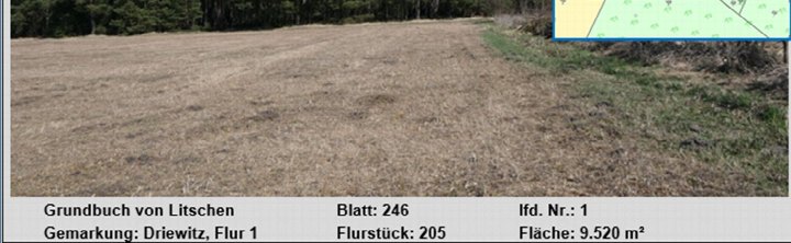Trockenes Grasland mit Bäumen im Hintergrund, Grundbuchangaben für Litschen, Gemarkung Driewitz, Flur 1, Flurstück 205, Fläche 9.520 m²