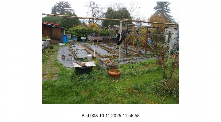 Gartenbereich mit Beeten, Grasfläche, kleinen Pflanzen und Gartenstrukturen auf einem Grundstück in Frankfurt am Main