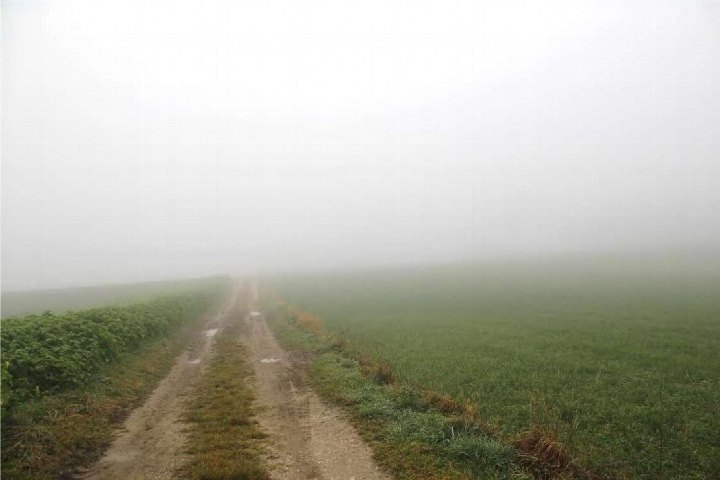 Nebeliger Feldweg zwischen Grünflächen in Günzburg, Schromberg