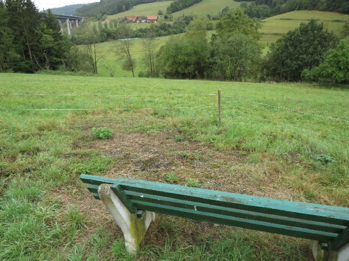 Grünes Feld mit Holzbank im Vordergrund, Drahtzaun und bewaldete Hügel im Hintergrund, landwirtschaftlich genutztes Grundstück in Unterriedenberg