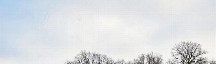 Bäume ohne Laub im Gartenbereich vor bewölktem Himmel in Belgern-Schildau