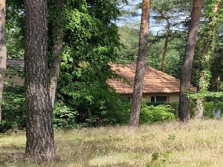 Sonstiges — Sonstiges in Nuthe-Urstromtal
