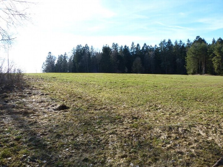 Grünes, unbewohntes Grundstück mit Wiese und Wald im Hintergrund in Waldferiendorf, Regen