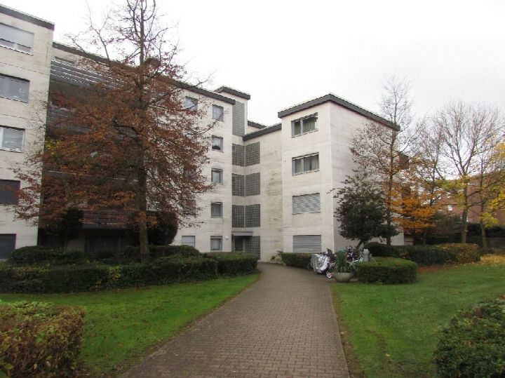 Außenansicht eines mehrstöckigen Wohngebäudes mit gepflastertem Weg, Grünanlagen und Bäumen im Herbst. Eigentumswohnung in Bergheim, Otto-Hahn-Straße