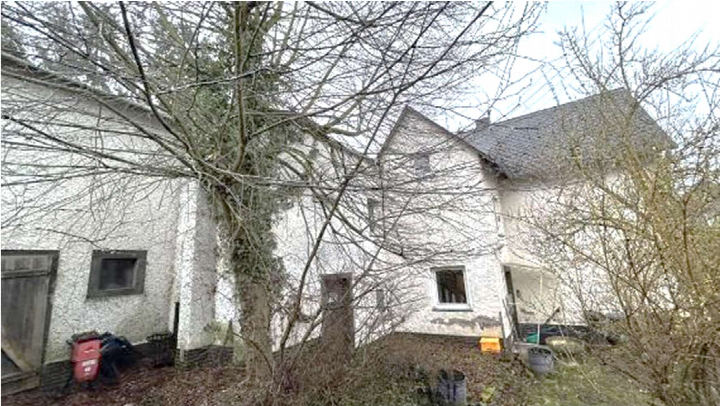 Rückansicht eines Wohn-/Geschäftshauses mit weiß verputzten Wänden, Dach, Fenstern und umgebenden kahlen Bäumen in Mayen, Hauptstraße 22
