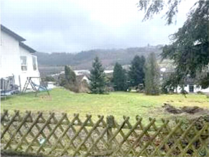 Grüner Gartenbereich mit Holzgitterzaun im Vordergrund, Bäumen und einem weißen Gebäude links, im Hintergrund Hügel und Nebel
