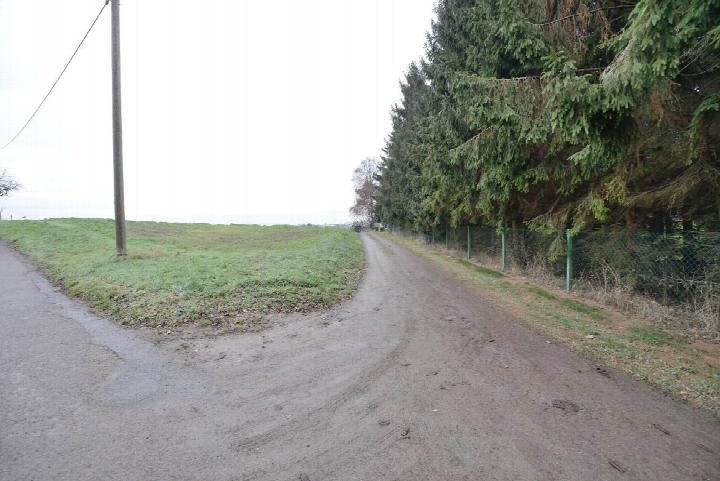 Grasbewachsener Grundstücksteil mit Bäumen und Zaun entlang einer unbefestigten Straße in Grimma-Nerchau