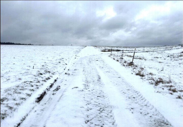 Schneebedecktes Feld mit Fahrspur, Teil eines landwirtschaftlich genutzten Grundstücks in Bad Berka