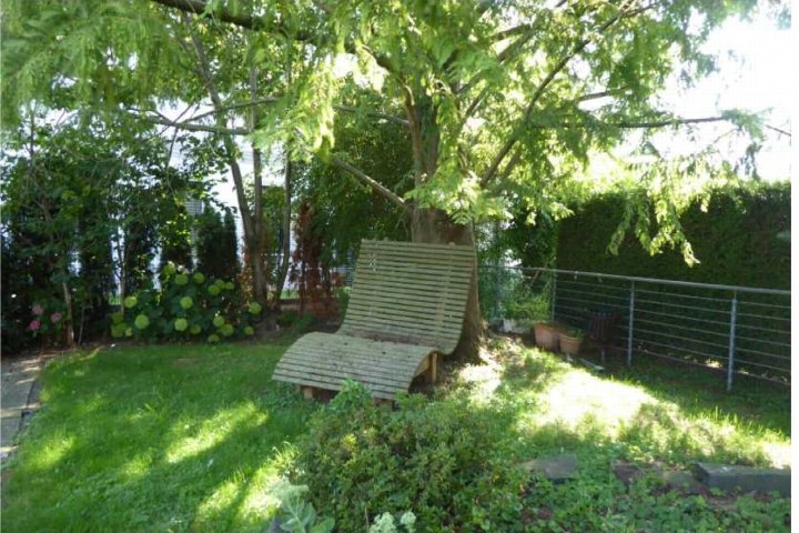 Gartenbereich mit Gras, Bäumen, Sträuchern und einer Holzbank unter einem Baum. Metallgeländer im Hintergrund