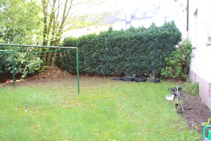 Grüner Gartenbereich mit Rasen, Hecken, Bäumen und Gartenutensilien wie Reifen und Pflanzkübeln an der Seite eines Gebäudes