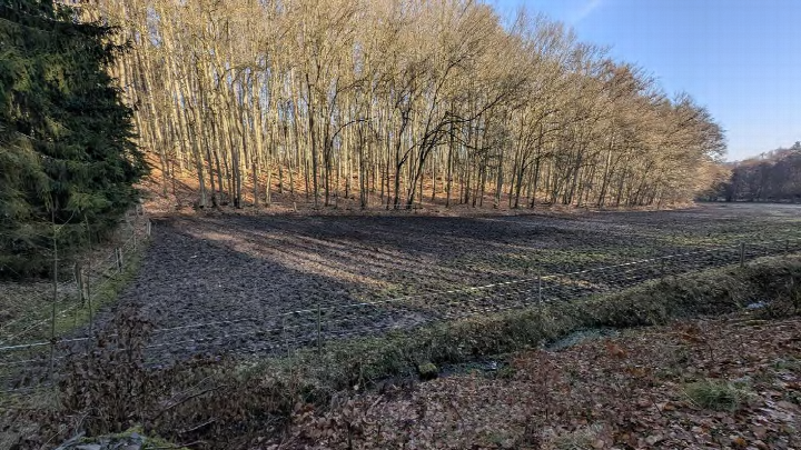 Unbebautes Grundstück mit abgeerntetem Feld, Zaun und Bäumen im Hintergrund in Ehringshausen
