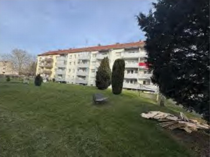 Grüner Gartenbereich mit Hecken, Bank und Holzstapel vor einem Mehrfamilienhaus in Groß-Zimmern