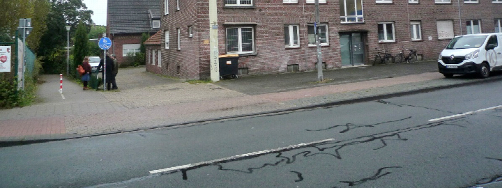 Außenansicht des Mehrfamilienhauses Hammer Straße 292 in Münster mit Eingang, Fenstern und Straße im Vordergrund