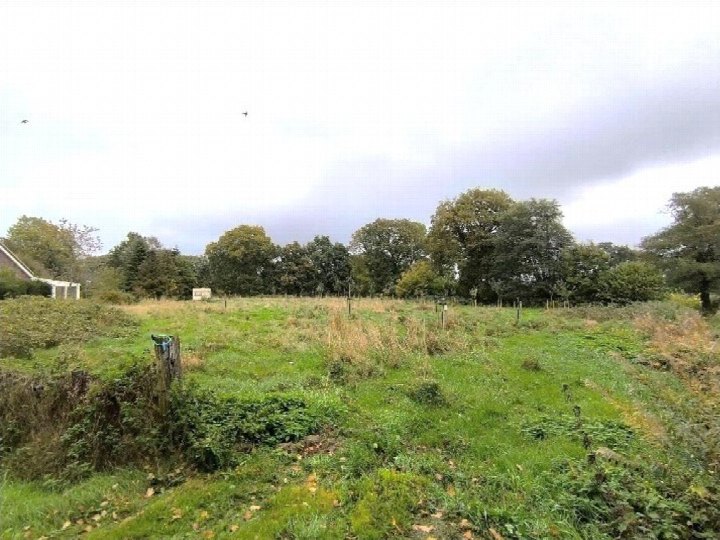 Grüner Gartenbereich mit Gras, Büschen und Bäumen im Hintergrund, Teil eines Einfamilienhauses in Großefehn