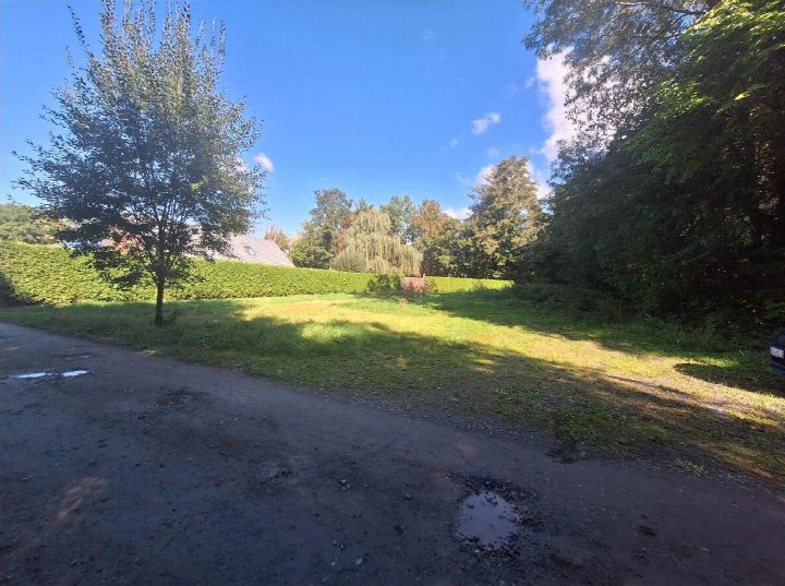 Grüner Außenbereich mit Rasen, Bäumen und Hecken am Mühlweg in Saalfeld