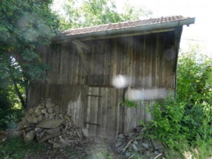 Seitenansicht eines hölzernen Schuppens mit Ziegeldach, umgeben von Grün und Holzstapel, im Außenbereich eines Einfamilienhauses