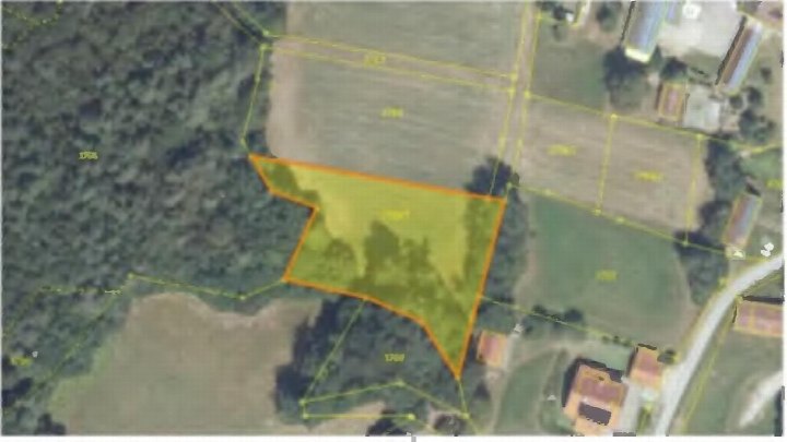Objektfoto — Land- und forstwirtschaftlich genutztes Grundstück in Thurmansbang, Schackenäcker