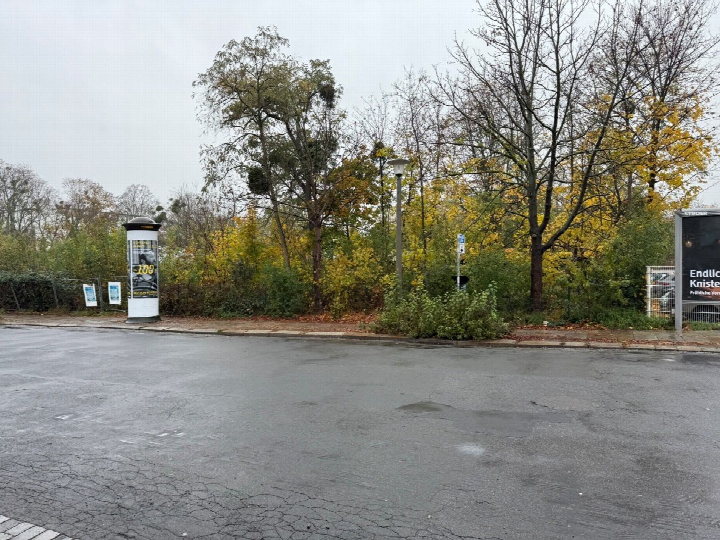Unbebautes Grundstück mit Bäumen, Sträuchern und Asphaltfläche, Dresden, Blüherstraße