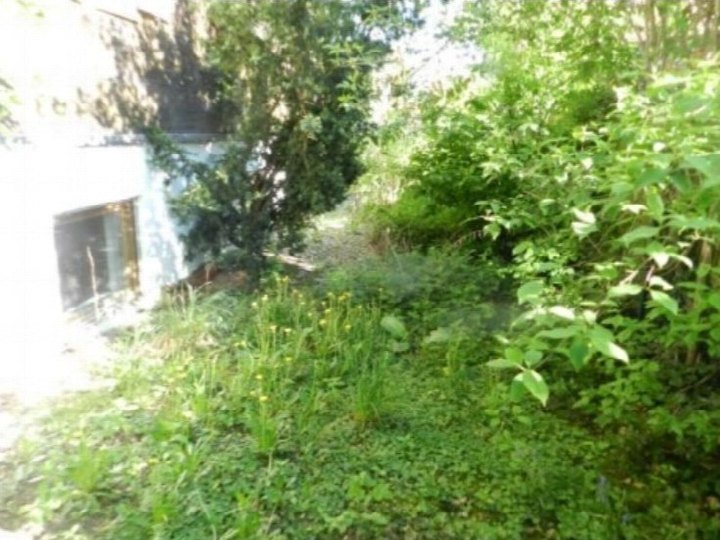 Gartenbereich mit Grünflächen, Sträuchern und Blumen neben einem Gebäude mit Fenster in Seukendorf, Tannenstraße 1