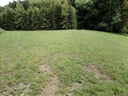 Sonstiges — Land- und forstwirtschaftlich genutztes Grundstück in Hüttenkofen