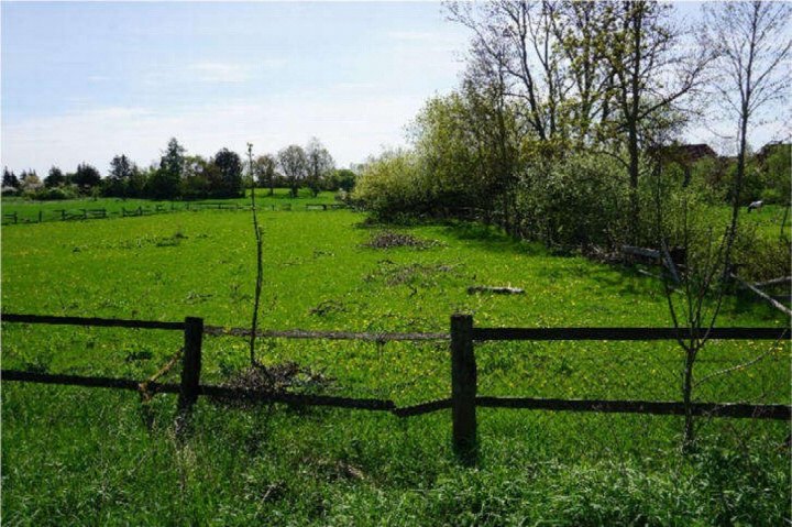 Grüner Gartenbereich mit Gras, jungen Bäumen, Sträuchern und Holzzaun im Vordergrund, im Hintergrund weitere Vegetation und ein Gebäudeansatz