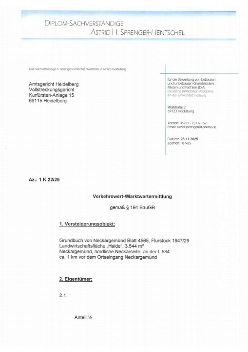 Textseite — Immobilie in Neckargemünd