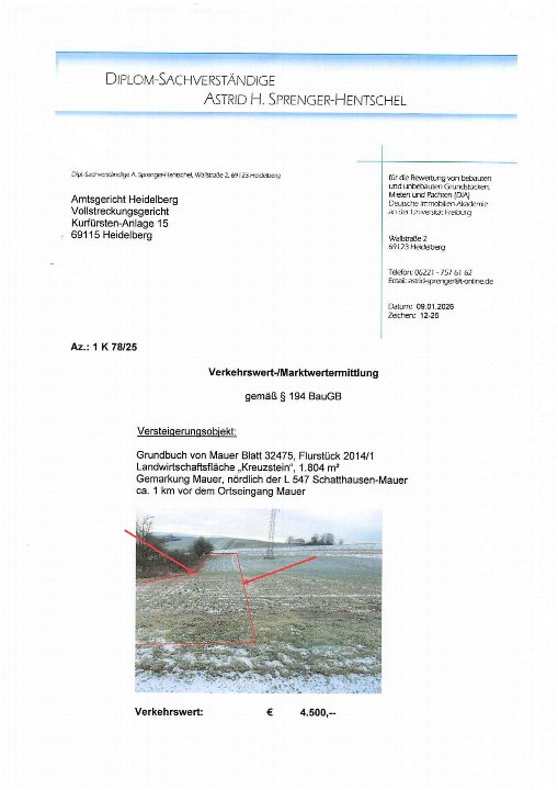 Textseite — Immobilie in Mauer