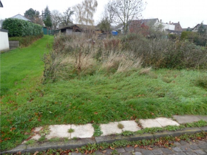 Überwuchertes Grundstück mit Gras, Unkraut und Sträuchern, gepflasterte Kante im Vordergrund, Hintergrund mit Hecken und Gebäuden