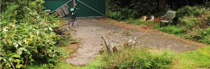Überwuchertes Grundstück mit Pflanzen, Betonfläche, grüner Tür und Fahrrad im Hintergrund