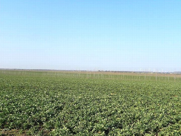 Sonstiges — Grundstück in Calbe (Saale) OT Schwarz