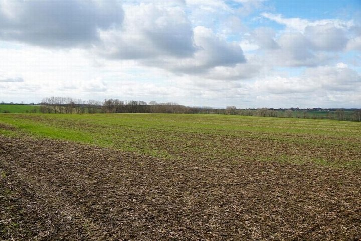 Sonstiges — Grundstück in Wanzleben-Börde OT Klein Wanzleben